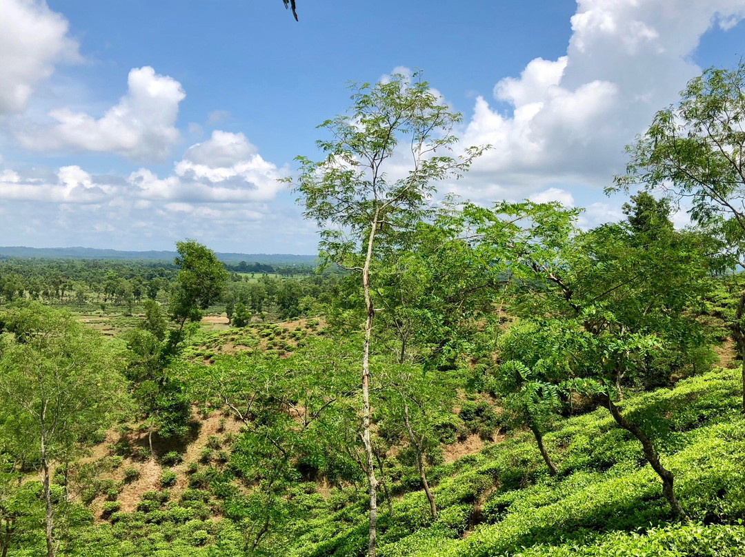 Madhabpur Lake景点图片