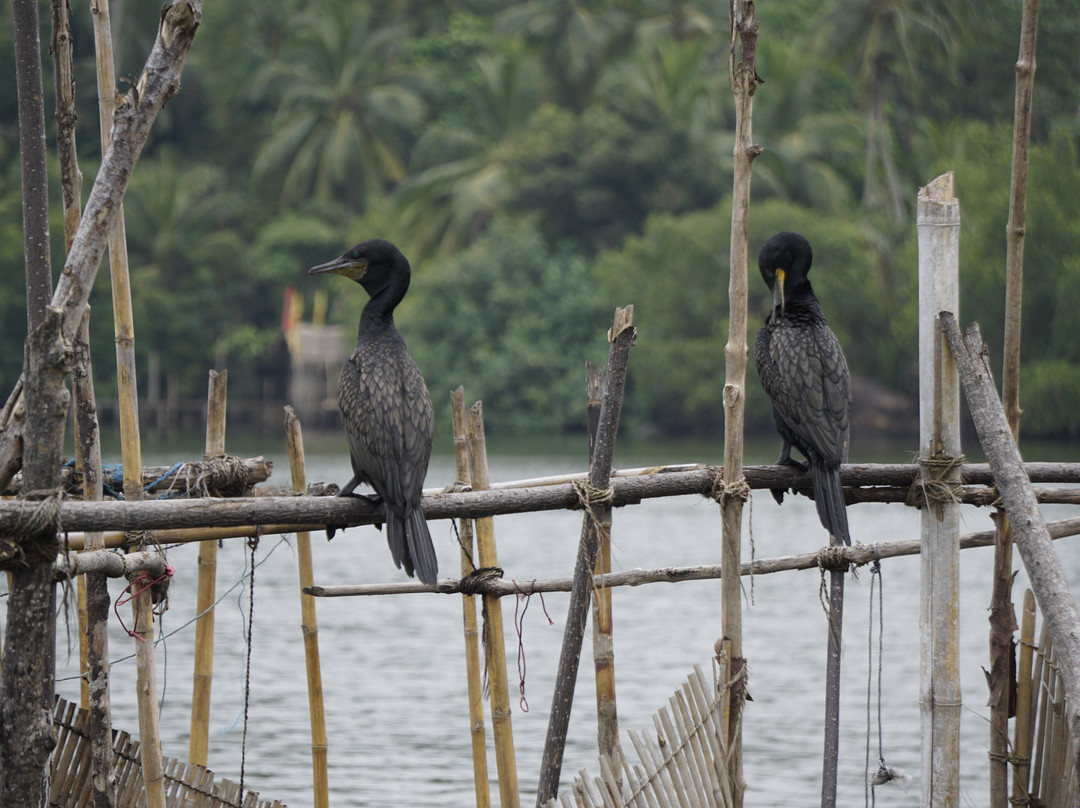 Green Lagoon-加勒必去景点
