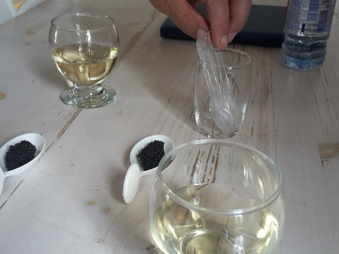 Caviar de France景点图片