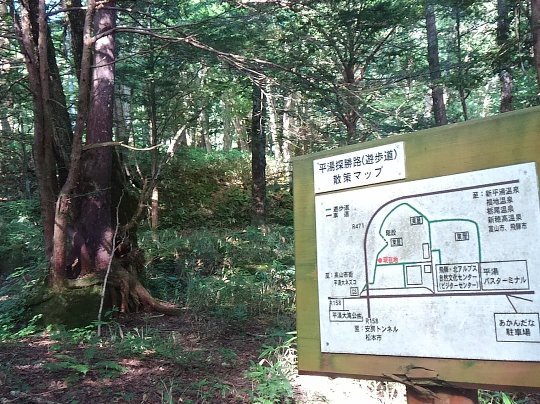 Hirayu Otaki Park景点图片