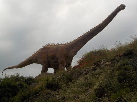 Ruta De Las Icnitas De Soria-索里亚省必去景点