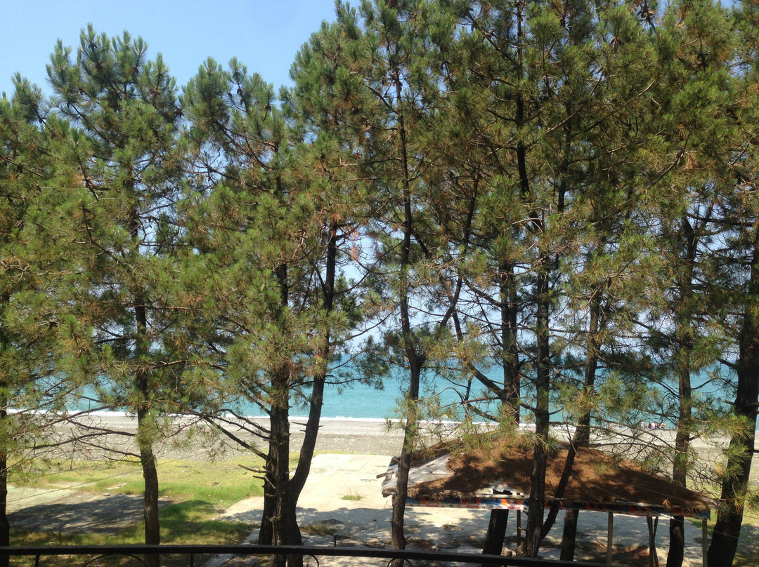 Kobuleti Beach景点图片