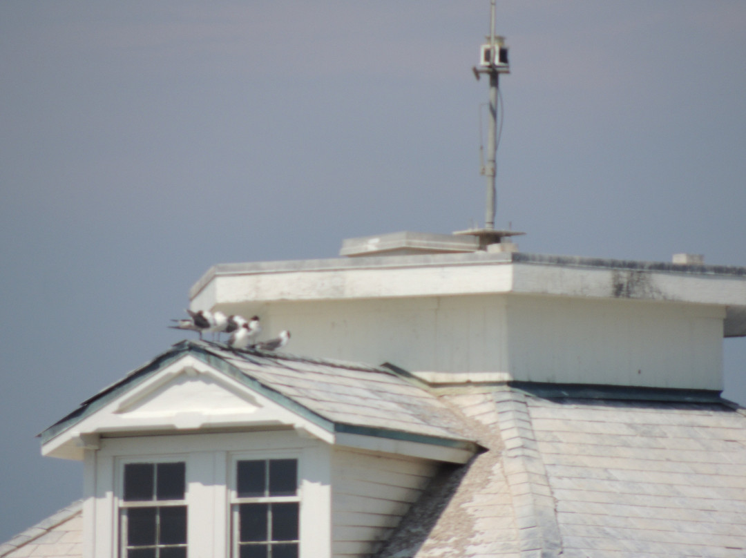 Middle Bay Lighthouse-莫比尔必去景点