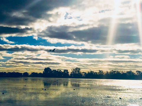 Lake Cargelligo旅游景点-Gum Bend Lake