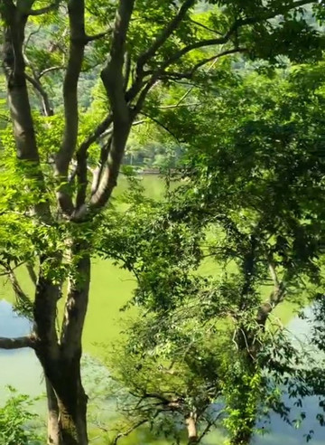 桂林和舍湖畔度假酒店主图