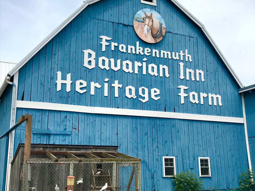 Grandpa Tiny's Farm-弗兰肯默斯必去景点