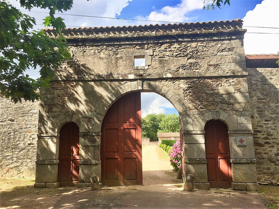 Chateau de Rochebrune