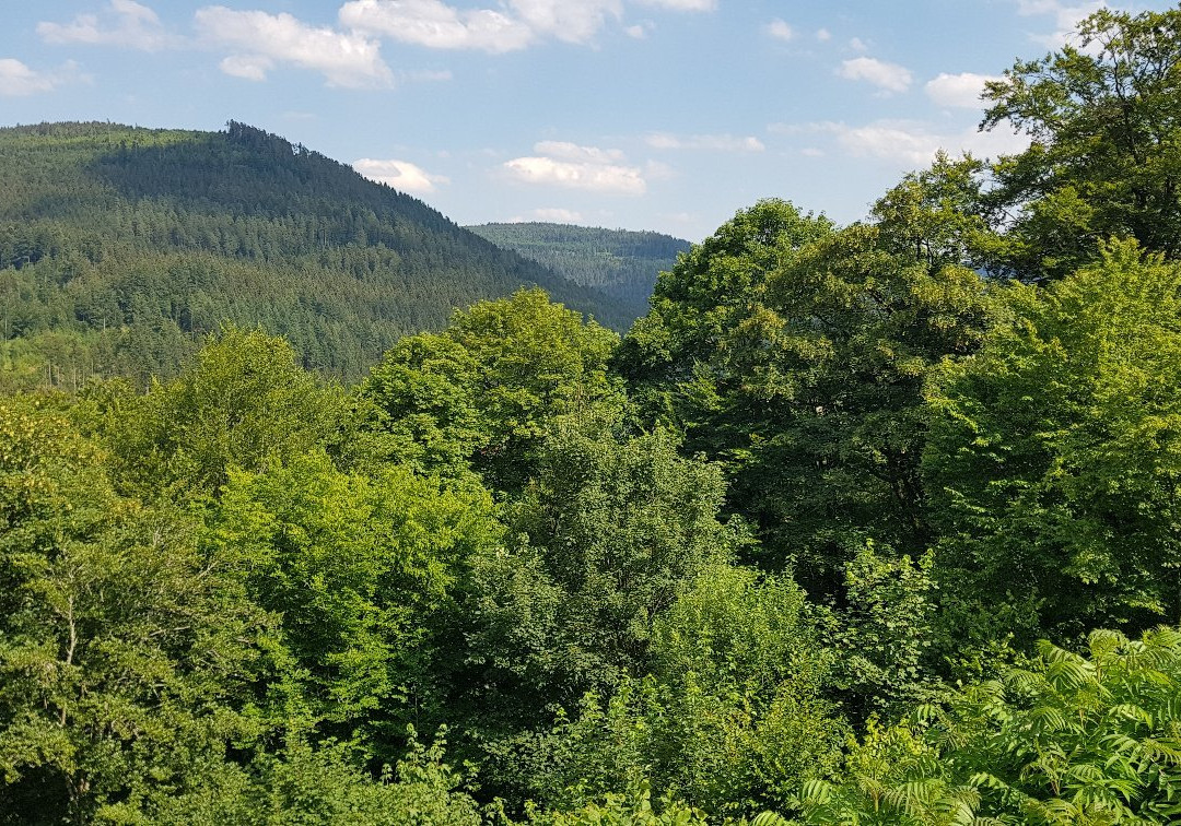 Hotel Schloss Silberberg主图