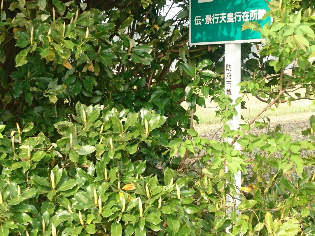 Keiko Tenno Anzaisho Ruins-防府市必去景点