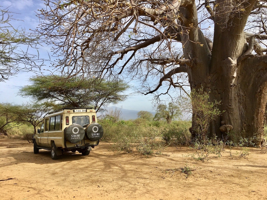 Sirini Safaris景点图片