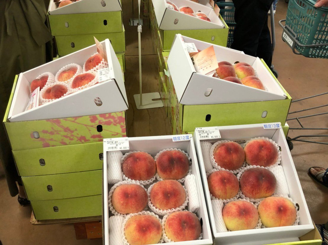 Michi no Eki Aisai Land-岸和田市必去景点