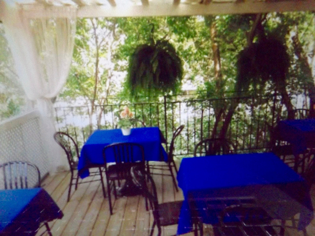 Savanna's Magical Garden & Tea Room