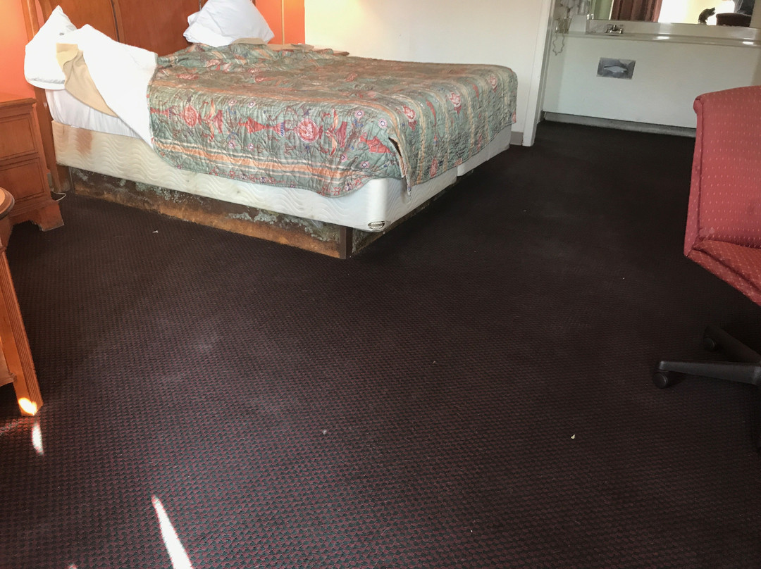 阿尔科阿皇家长住酒店