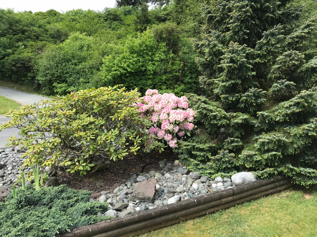 Quarterdeck Inn & Marina Resort主图