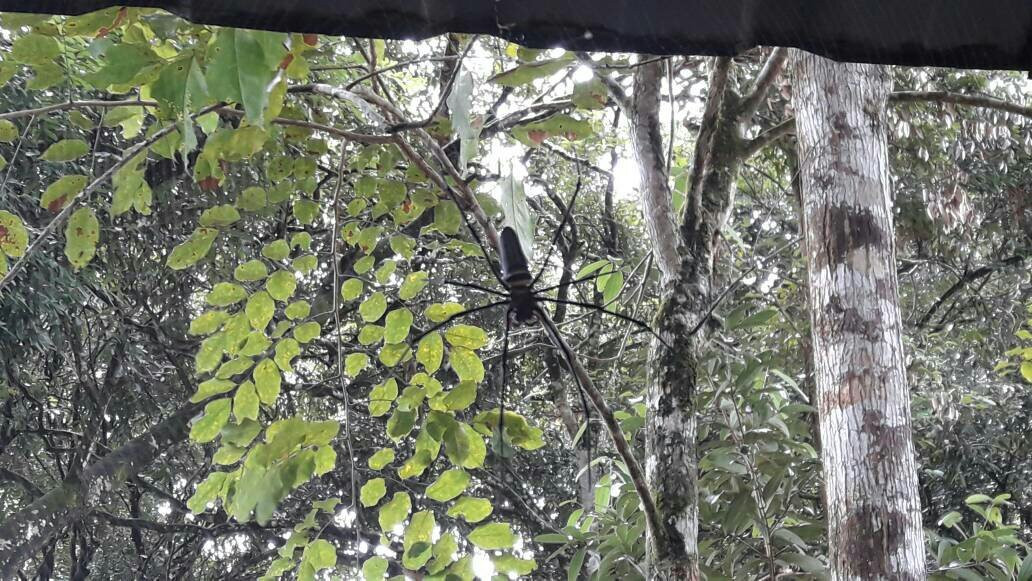 The Rave YMCA Camp-诗巫必去景点