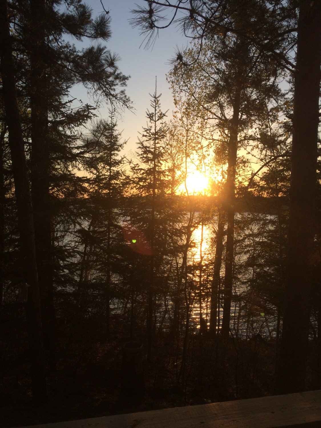 YMCA Camp Northern Lights-官方