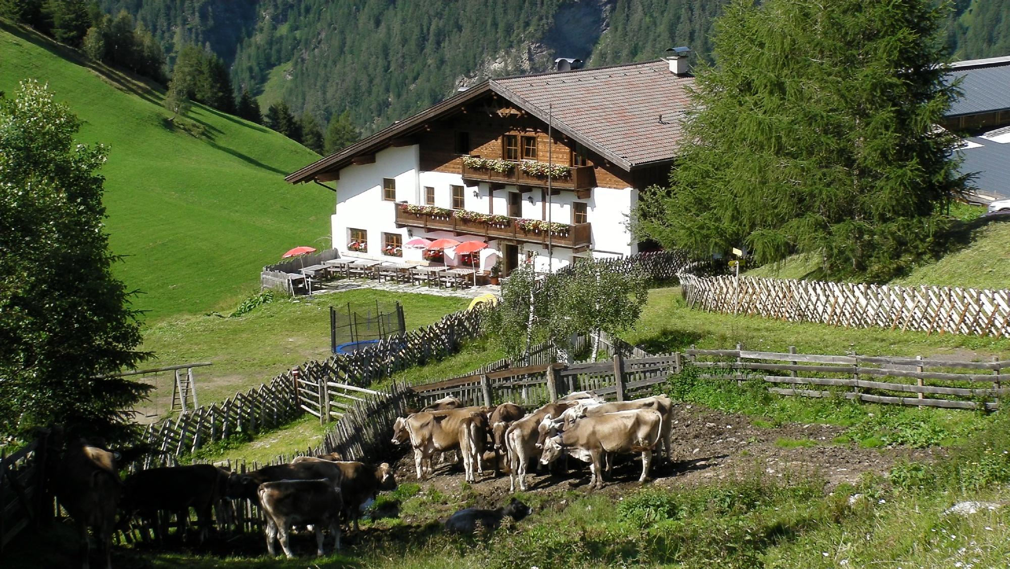 Berggasthof Steckholzer-浴室