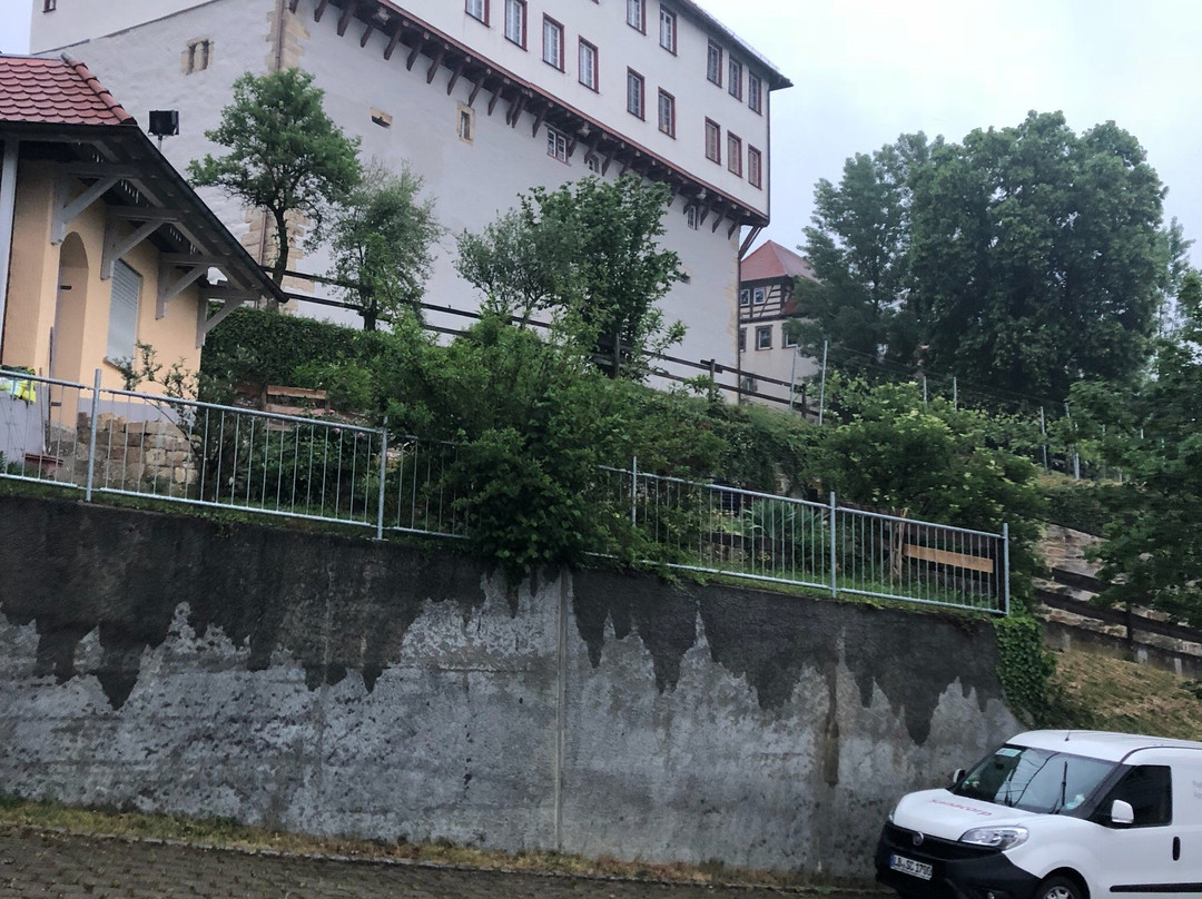 Schloss Gomaringen景点图片