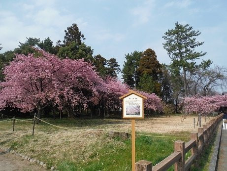 Manyo Park-一宫市必去景点