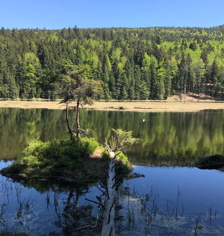 Kleine Arbersee-Lohberg必去景点