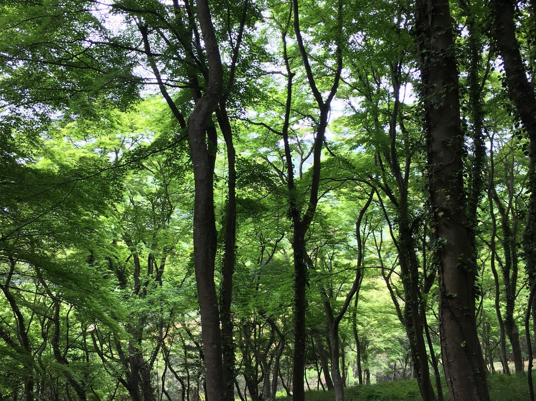 Mt. Tomiyama-相生市必去景点