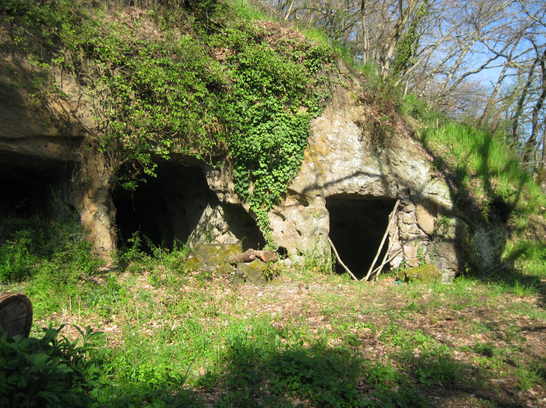 Grotte di San Lorenzo景点图片