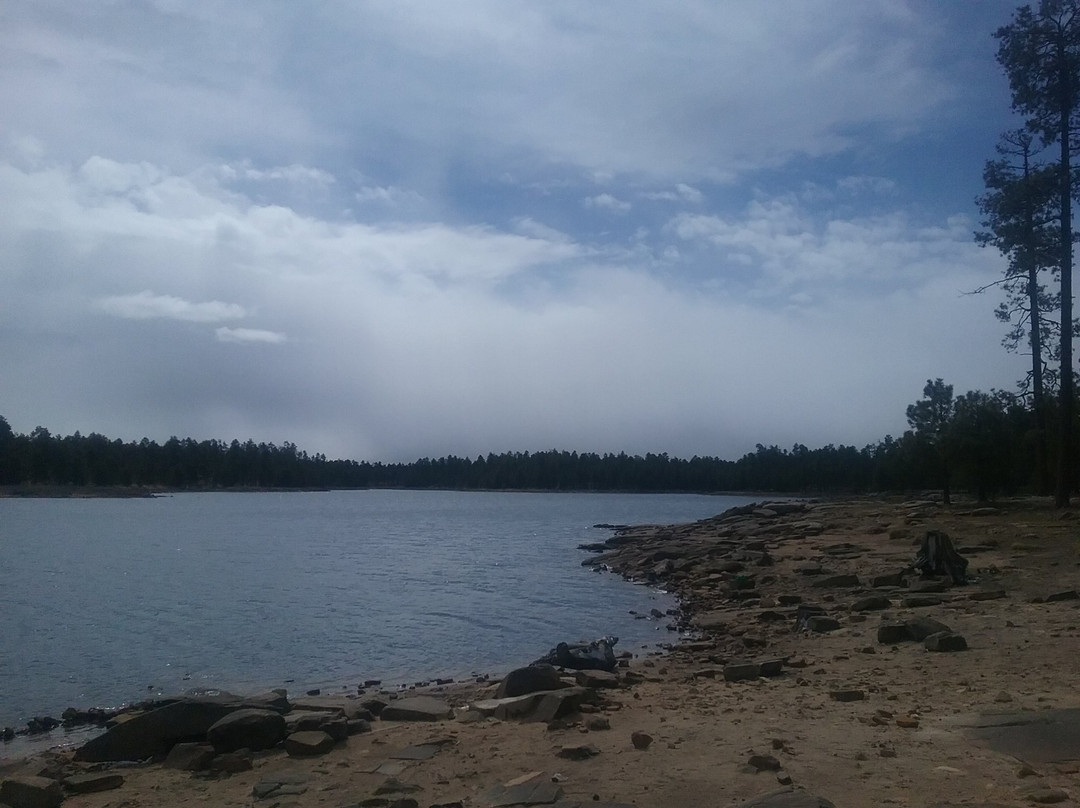 Willow Springs Lake-Forest Lakes必去景点