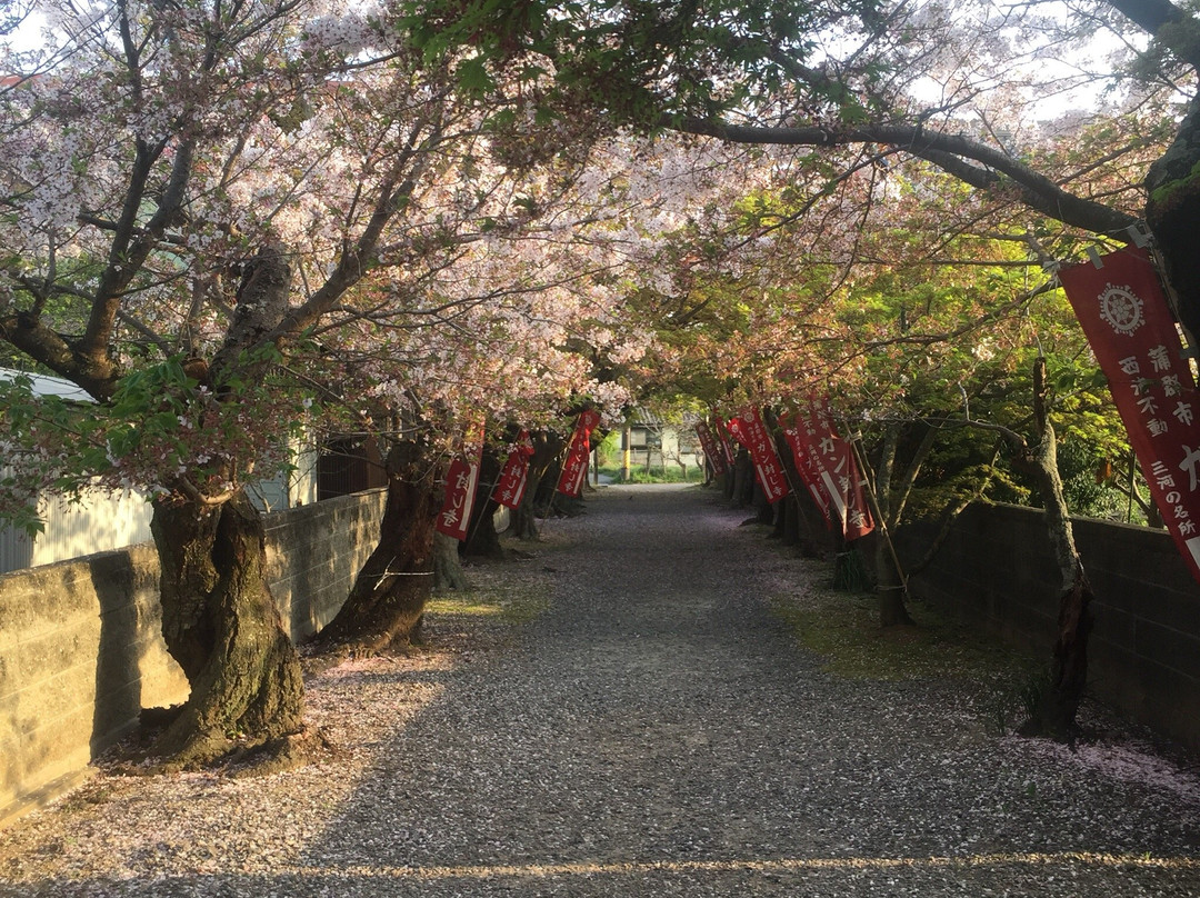 Muryoji Temple景点图片