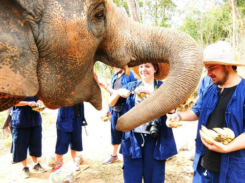 JohnnyBoy Elephant Care-清迈必去景点