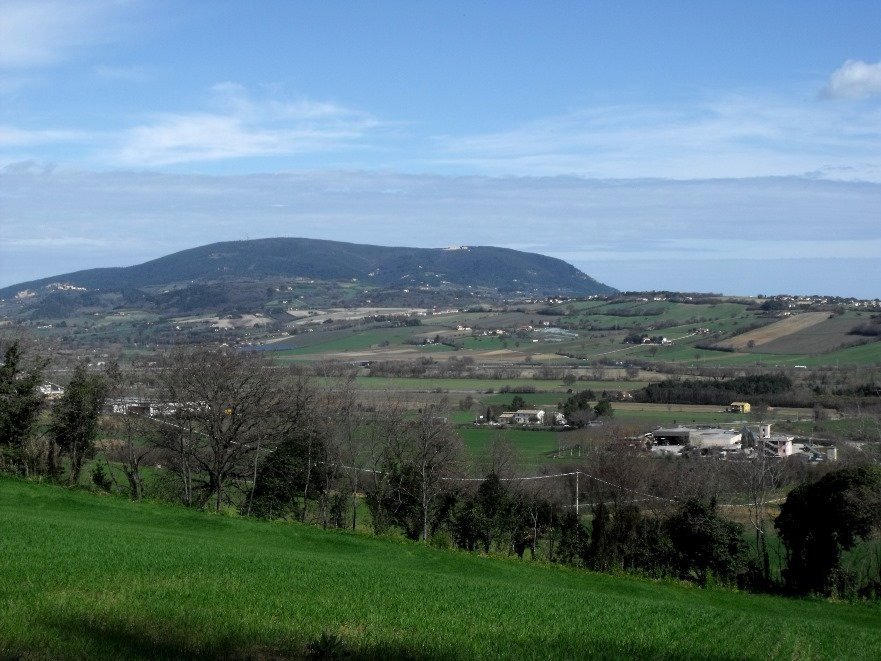 Selva di Castelfidardo景点图片