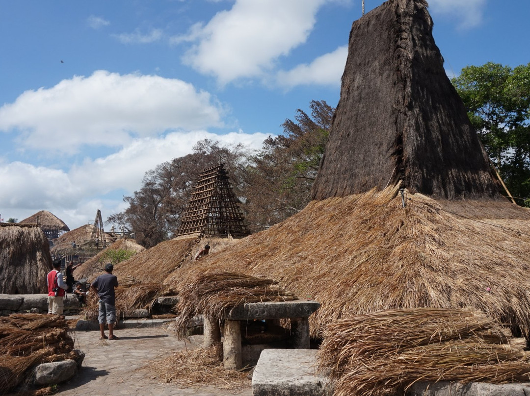 Tarung Cultural Villag景点图片