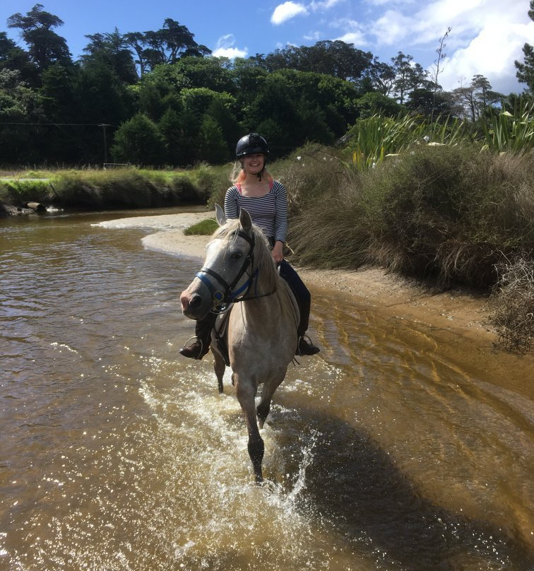 Pakiri Beach Horse Rides - Day Tours景点图片
