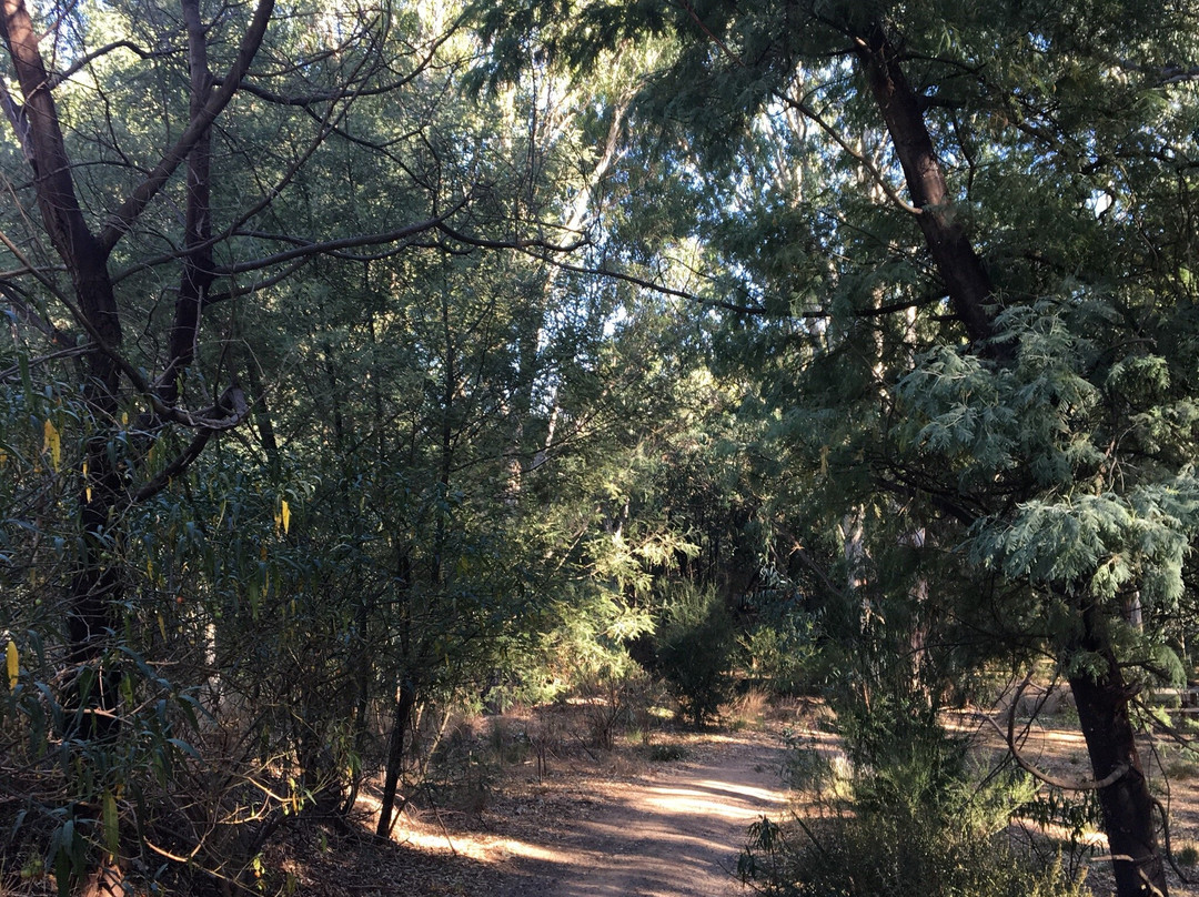 Burke rd billabong reserve-Kew East必去景点