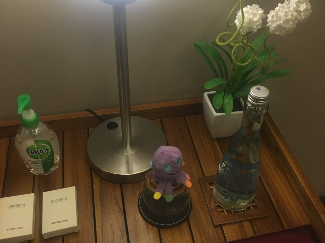 伊斯特帕克酒店修养spa-Depok必去景点