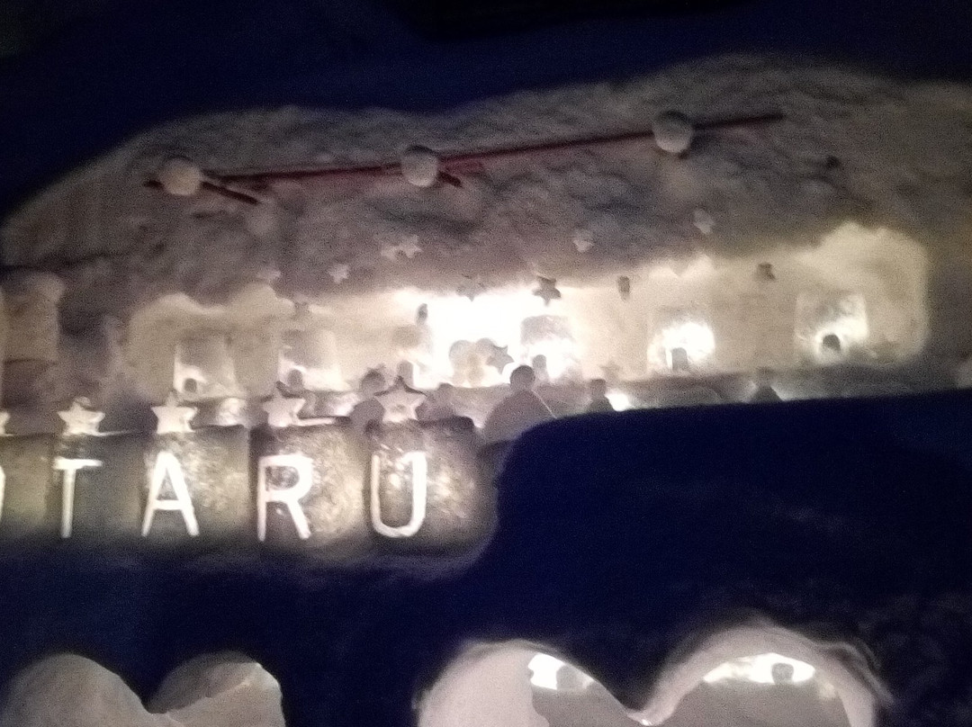 Otaru Snow Light Path景点图片