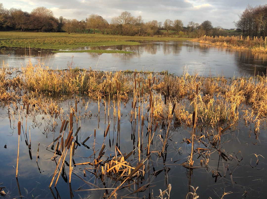 Castlebar to Turlough Greenway景点图片