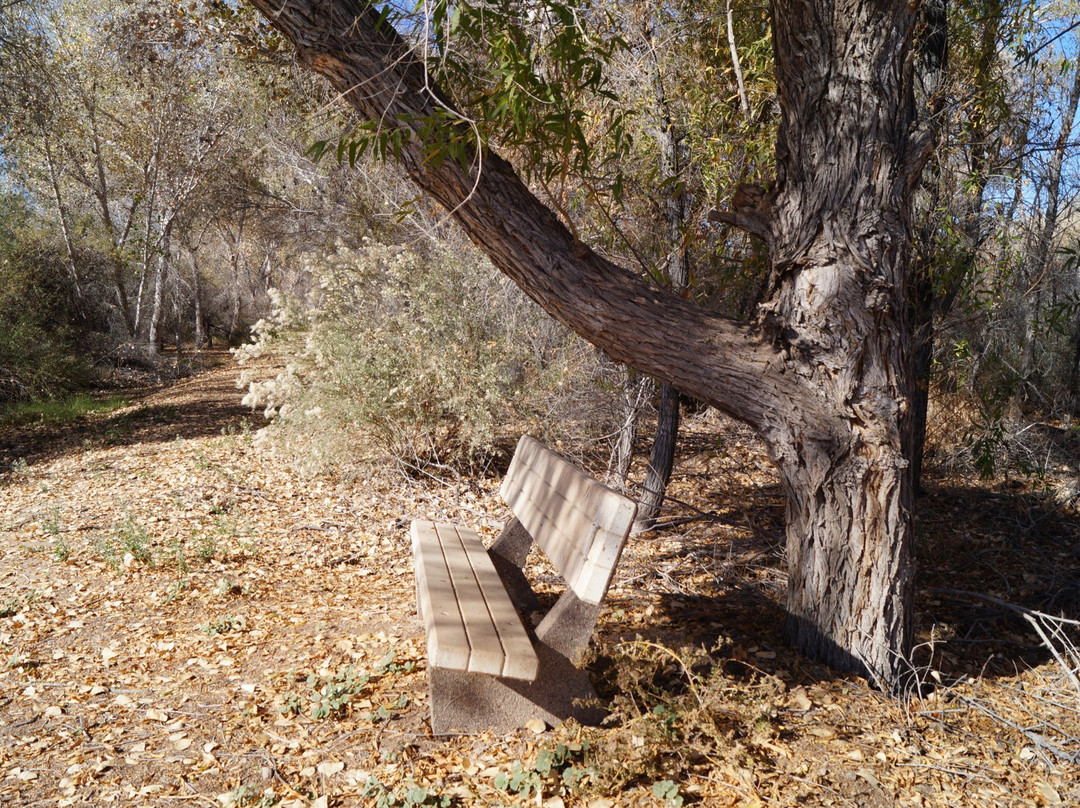 Cibola National Wildlife Refuge-尤马必去景点