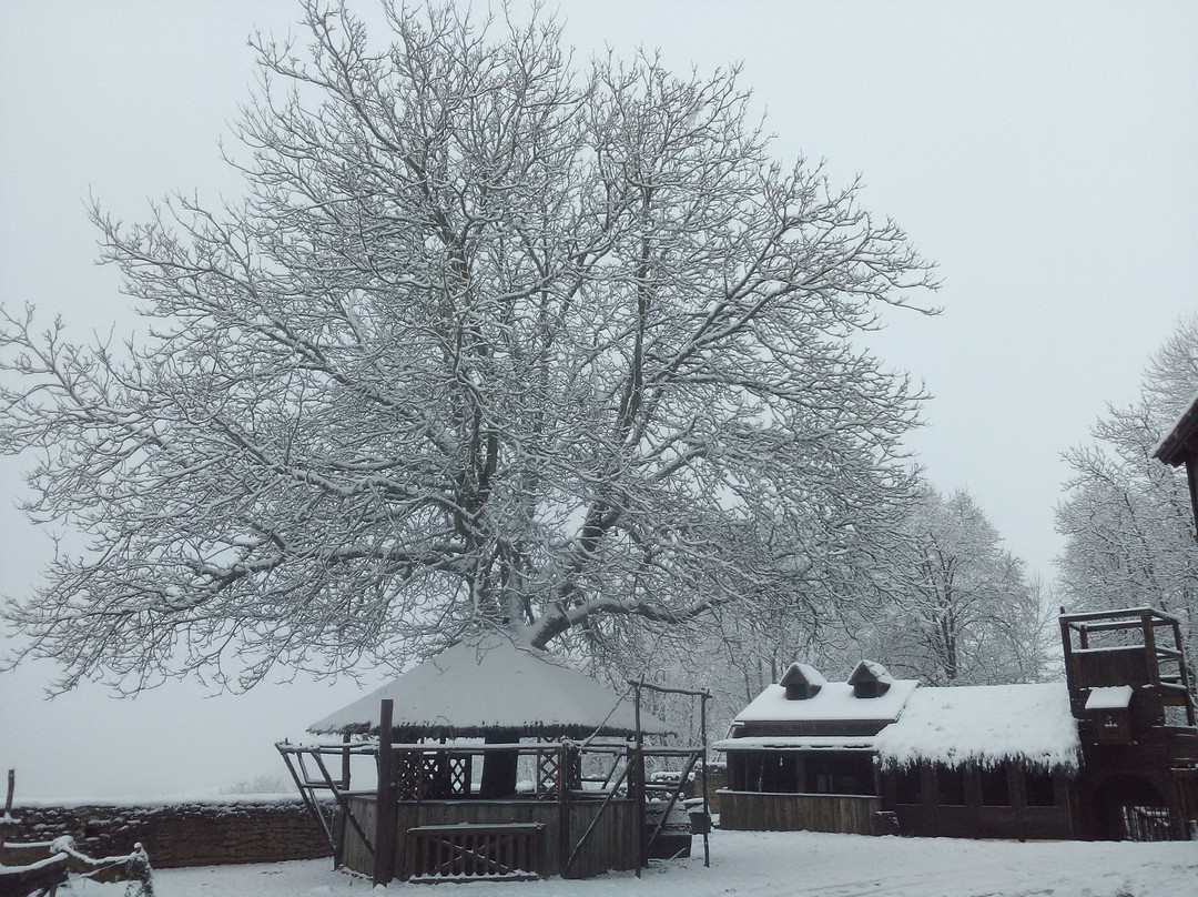 Forteresse de Thil-Vic-sous-Thil必去景点