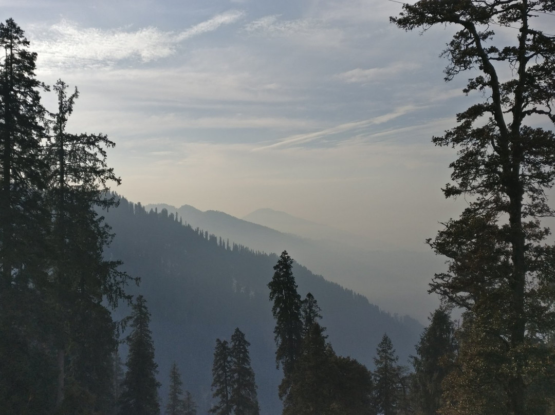 Reserve Forest Sanctuary景点图片