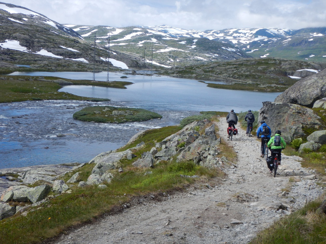 Rallarvegen (The Navvy Road)景点图片