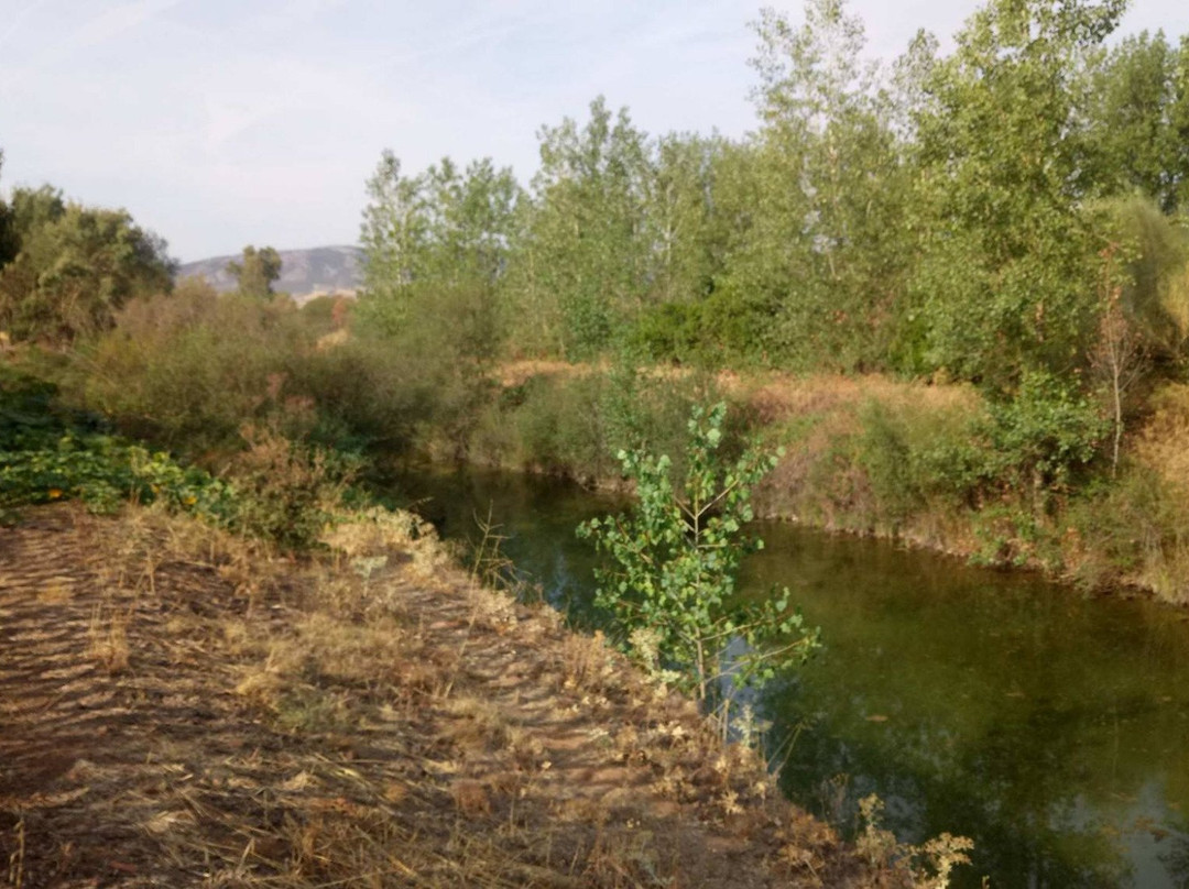 Casas Rurales Tabla Honda