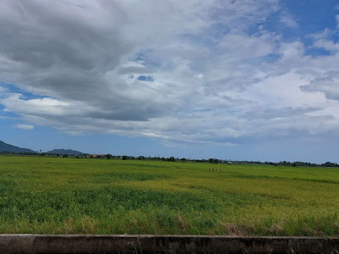 Kampung Sangkir景点图片