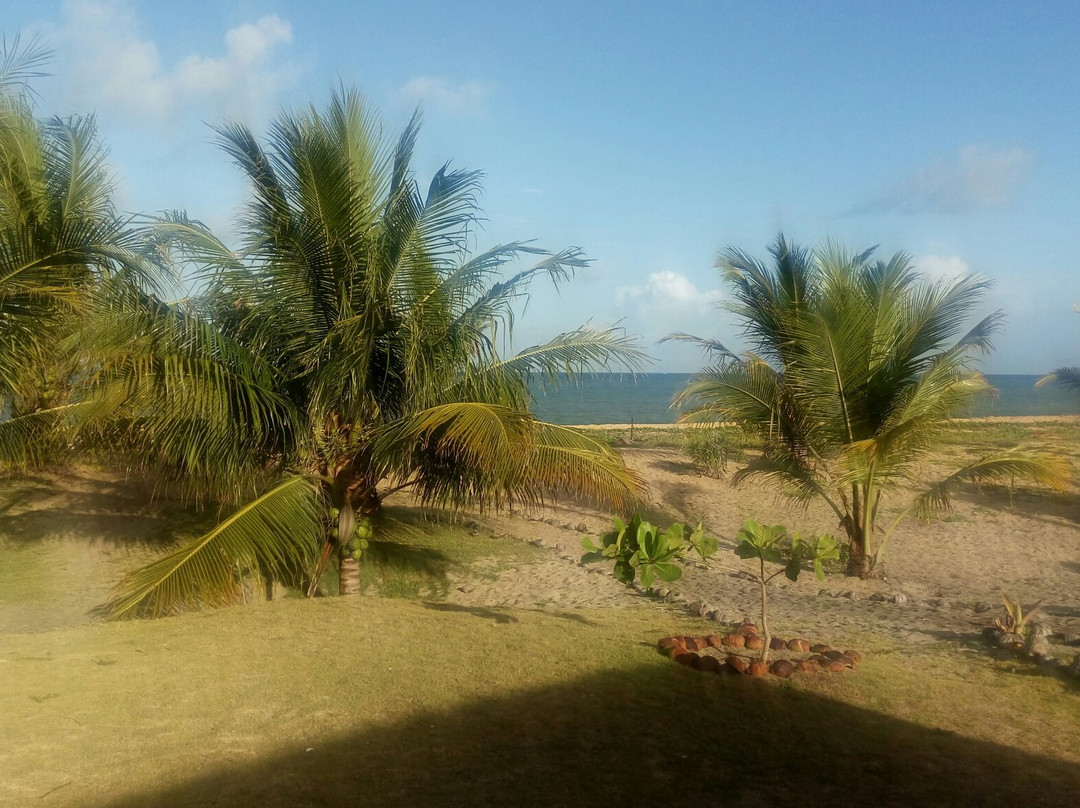 Barra Velha Beach景点图片