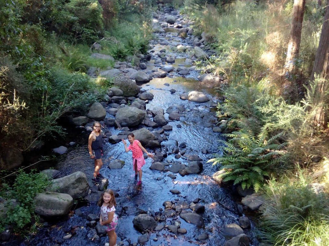 Orton Bradley Park-南岛必去景点