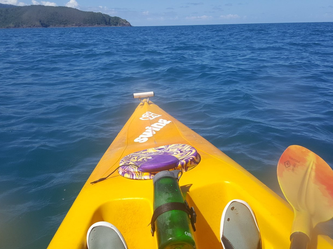 Port Douglas Adventure Tours-道格拉斯港必去景点