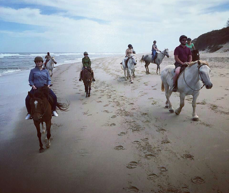 Selsdon Park Estate Beach Horse Rides-Marina Beach必去景点
