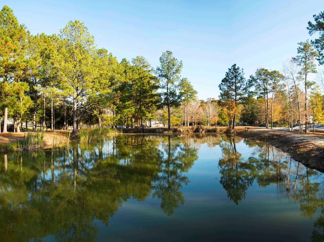 Hawkins Creek Campground