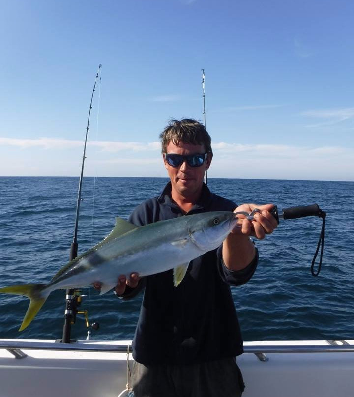 Sydney Sea Charters-巴尔曼必去景点