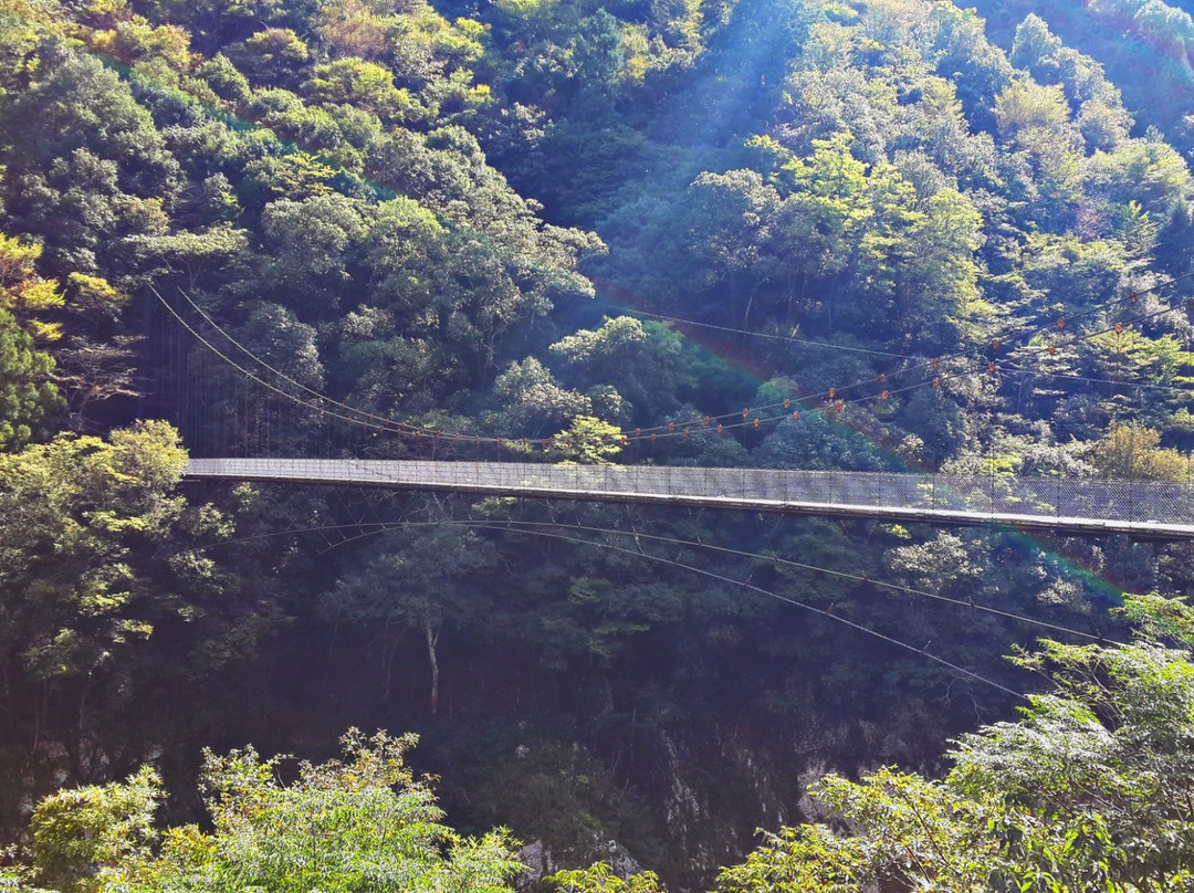 Akagawa Bridge-三好市必去景点