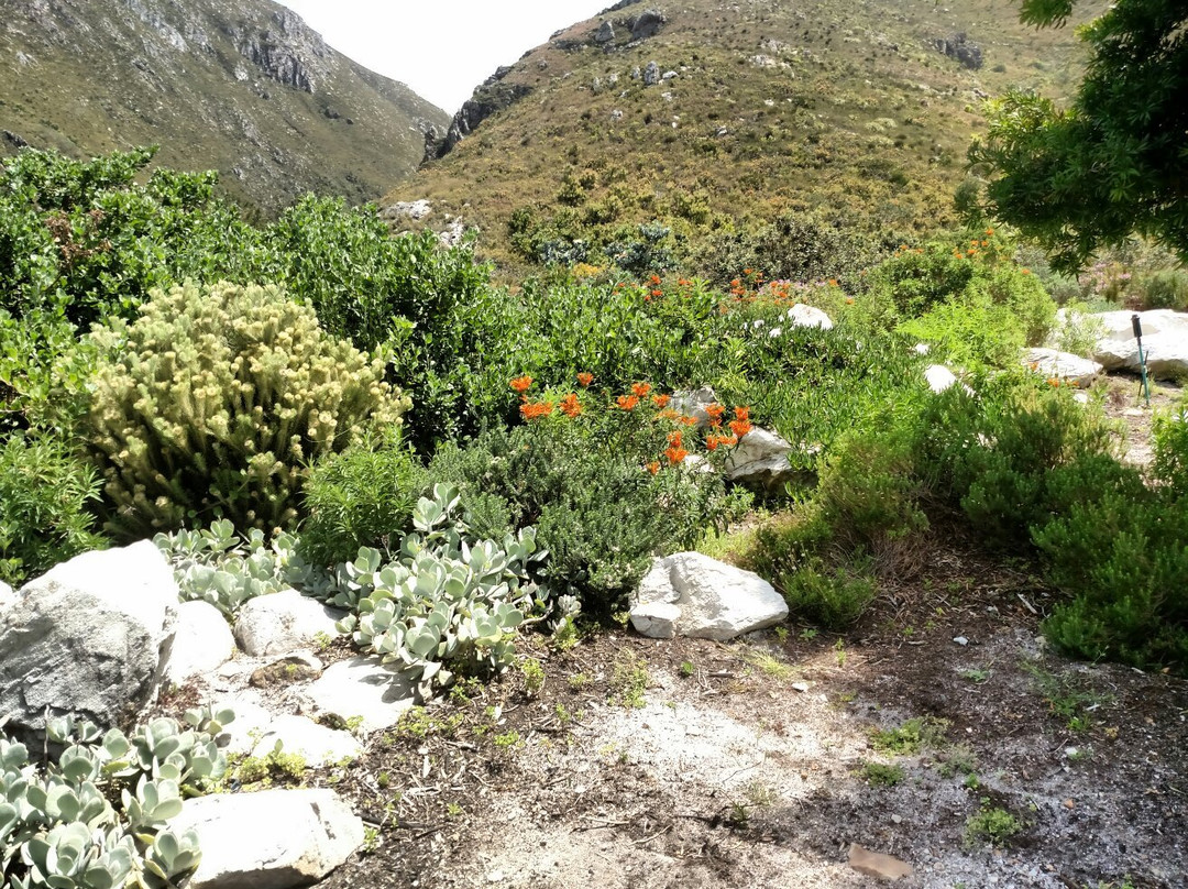 Slackpacker SA-Kenilworth必去景点